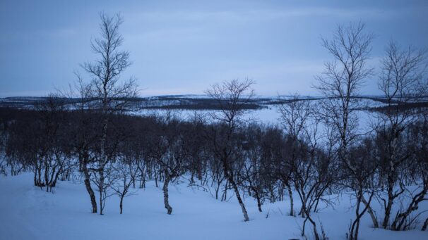 Kaldoaivin yksinäinen vaeltaja