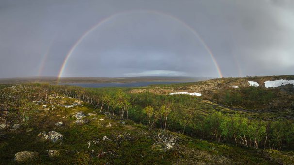 Haudatkaa sydämeni Kaldoaiviin