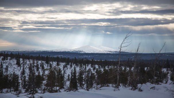 Unelmien UKK-puisto